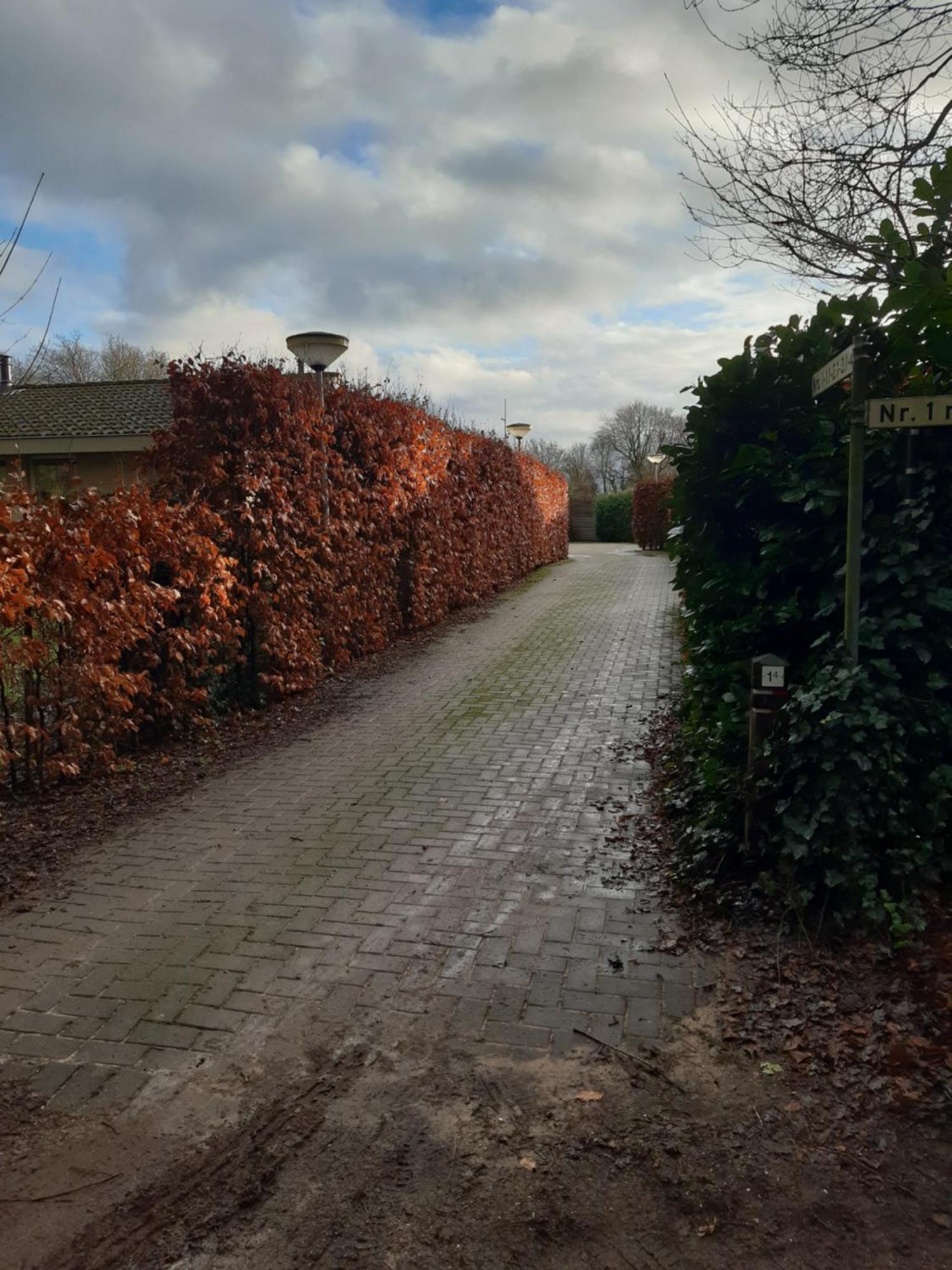 Willa Huinerhofje 3 - Vrijstaand, Grote Tuin, Rust En Veel Privacy Nabij Uitgestrekte Bossen Putten Zewnętrze zdjęcie