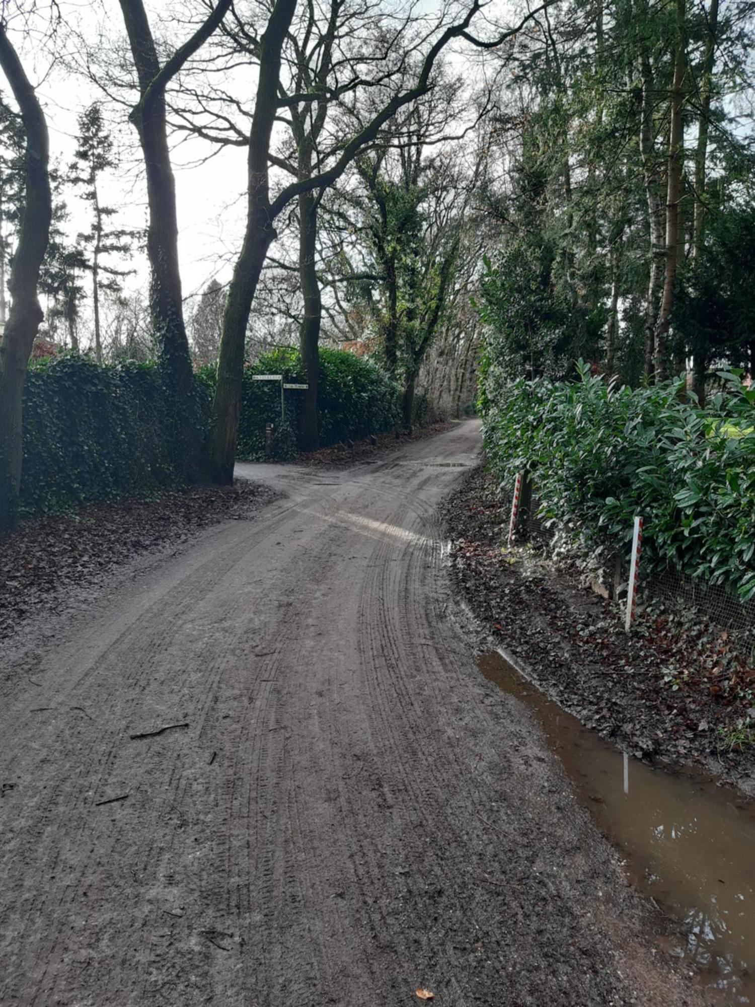 Willa Huinerhofje 3 - Vrijstaand, Grote Tuin, Rust En Veel Privacy Nabij Uitgestrekte Bossen Putten Zewnętrze zdjęcie